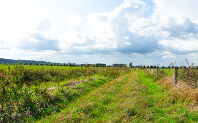 Path between dutch landscapes