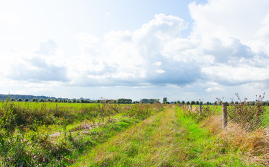 Fototapeta na wymiar Path between dutch landscapes