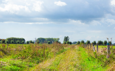 Path between dutch landscapes