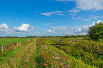 Fototapeta na wymiar Path between dutch landscapes