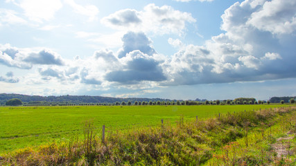 Fototapeta na wymiar Typical Dutch Polder landscape in Gelderland