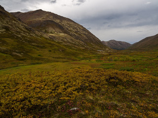 Alaskan Autumn Landscape, Colorful Tundra in Valley