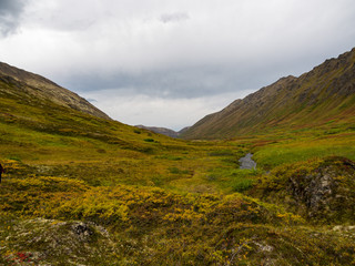 Fototapeta premium Alaskan Autumn Landscape, Colorful Tundra in Valley