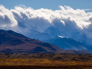 Fototapeta premium Mountains and Autumn Tundra in Alaska, Vista in Denali National Park