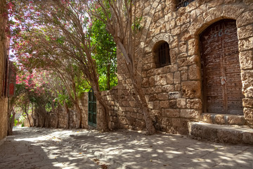 Fototapeta premium old and flowered village street in Lebanon