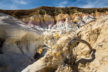 Paint Mines Colorado
