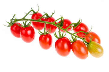 Branch with red cherry tomatoes isolated on white background