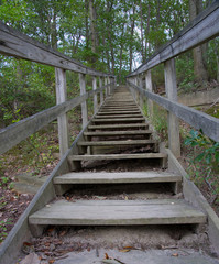 Stairs leading up the hill