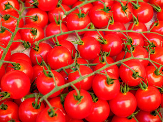 Vine tomatos
