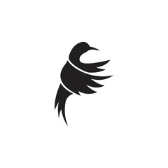 Humming bird. Vector logo icon template