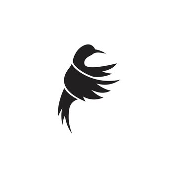 Humming bird. Vector logo icon template