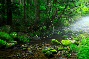 夏の元滝伏流水