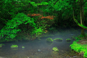 夏の元滝伏流水