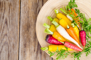 Fresh organic farm carrots of various types and colors