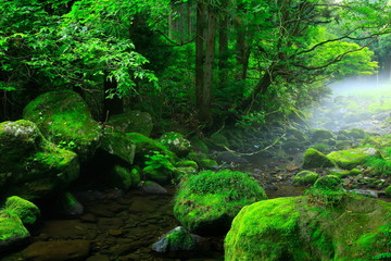 夏の元滝伏流水