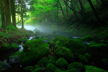 夏の元滝伏流水