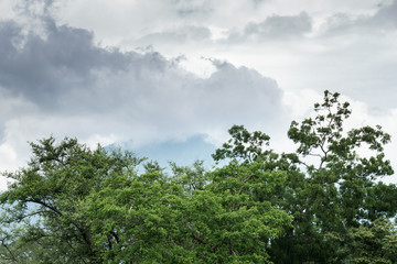 Best travel destination in Banyuwangi East Java and Bali Indonesia Asia