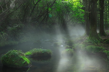 夏の元滝伏流水