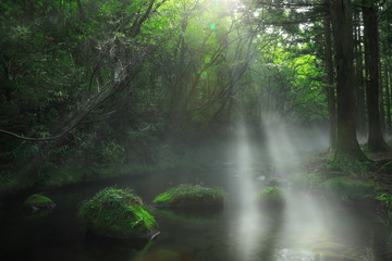 夏の元滝伏流水