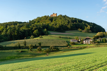 The ruin of castle Hohengeroldseck on top of a hill in the Black Forest, Germany