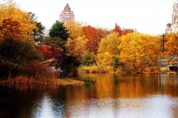 Trees and lake during autumn in Central Park, New York City