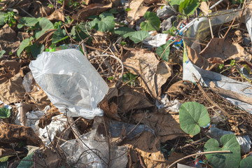 plastic garbage in a leaf litter in a park