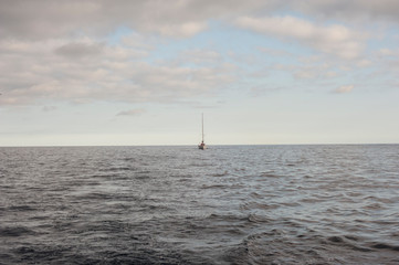 Fototapeta premium sailboat on the sea