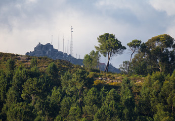 Two Pine Trees on the top of the hill with Sao Mamede Mountain in the background, Povoa de Lanhoso, Minho, Portugal.