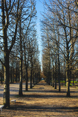 Empty Tuileries Garden in Paris, France