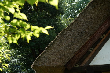 Old Japanese thatched roof house