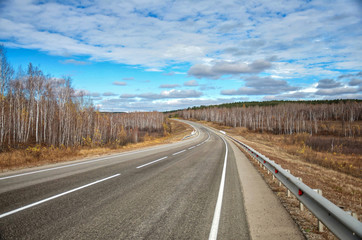 autumn landscape: empty highway and beautiful birch trees with yellow leaves against a bright blue sky with clouds in sunny weather