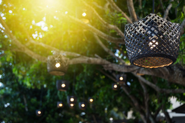 Wood lamp on tree with bokeh