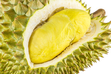 Durian is the king of fruits famous fruits in thailand, Durian fruit flesh isolated on white background. durian is distinctive for its large size, strong odour, and thorn-covered rind.