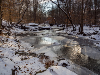Fototapeta na wymiar Winter Forest Landscape, Icy Creek, Snowy Woods