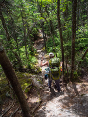 Obraz premium Hiker on Forest Footpath in Dense Woods of Maine Wilderness