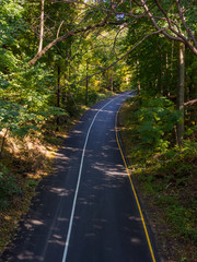 Road Through Lush Forest, High Angle