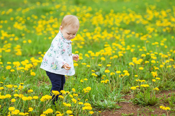 Little girl on the meadow with dandelions, happy baby among dandelions. 
