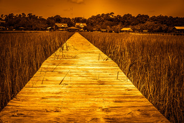 Pawleys Island beach bridges South Caroline