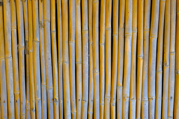 Bamboo fence background on vertical