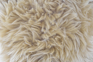 熊のぬいぐるみの毛