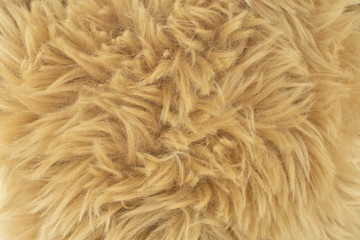 熊のぬいぐるみの毛