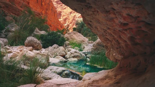 A lush rock canyon river is flowing through a desert area / rock canyon in Oman.