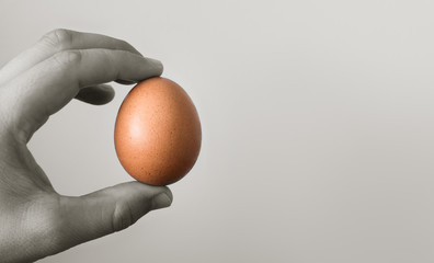 Hand holding egg isolated 
