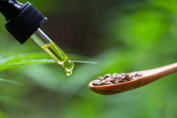  close up of droplet dosing a biological and and hemp seeds in a spoon, ecological hemp plant...