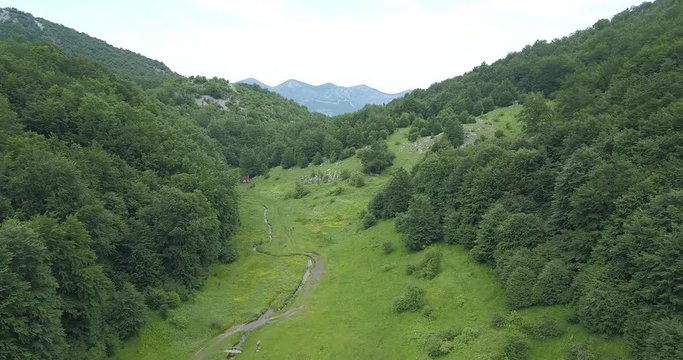 Borov Kamak, Vratsa, Bulgaria, creek in the forest