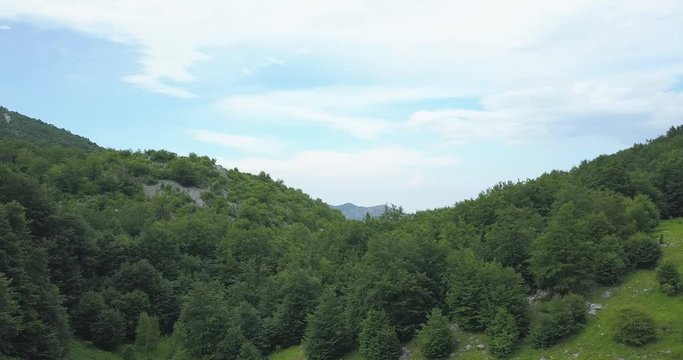Borov Kamak, Vratsa, Bulgaria, creek in the forest