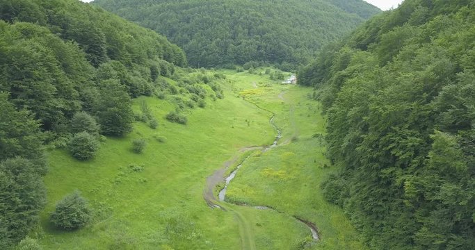 Borov Kamak, Vratsa, Bulgaria, creek in the forest