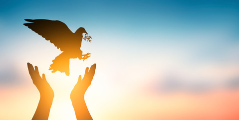 International Day of Peace concept: Hand holding  Dove flying on sunset background 