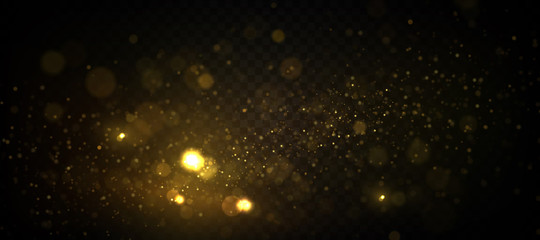 Golden particles, sparkling bokeh lights isolated on transparent background