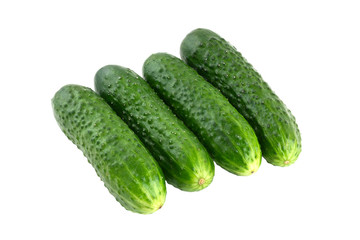 Fresh green cucumbers on a white background. Four cucumbers closeup isolated on white background.